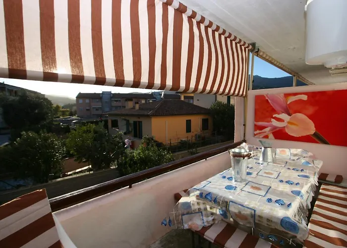 Maya A Campo - Goelba *