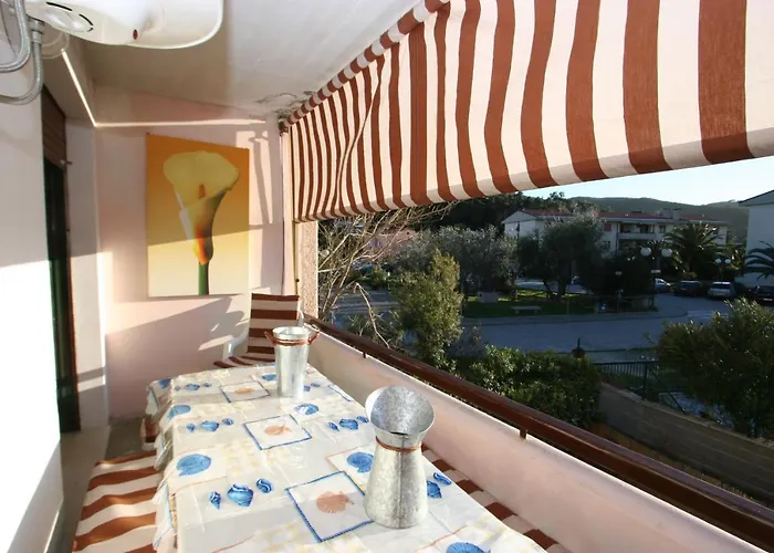 Maya A Campo - Goelba