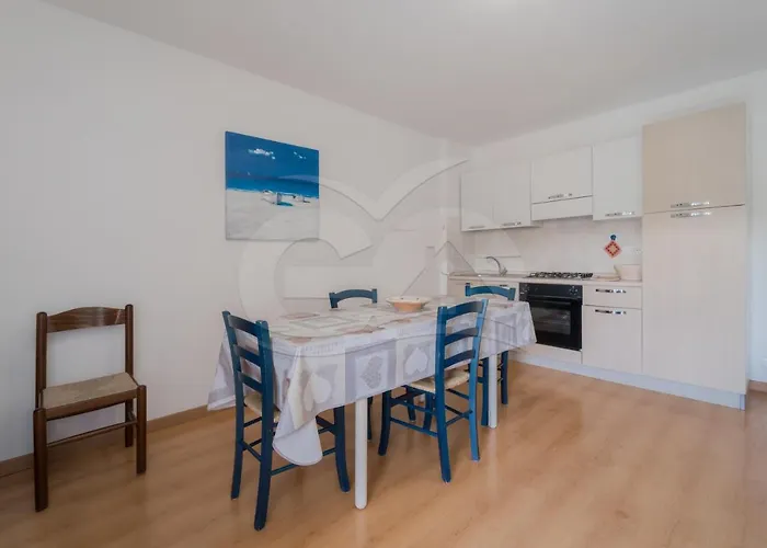 Maya A Campo - Goelba *