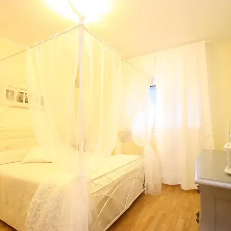 Maya A Campo - Goelba