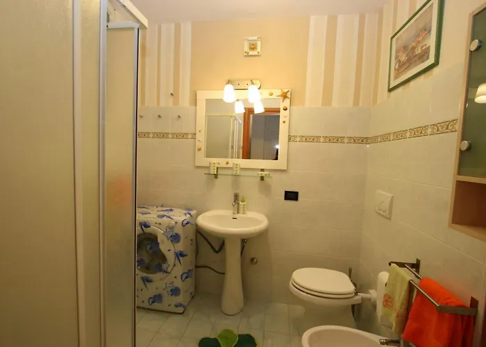 Maya A Campo - Goelba