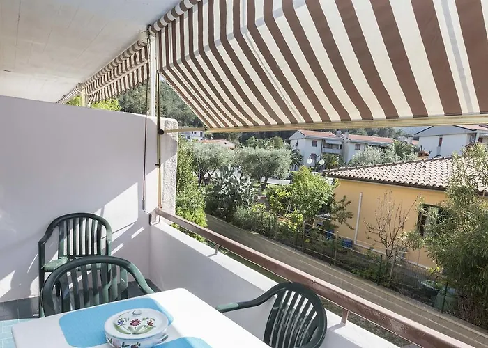 Maya A Campo - Goelba *