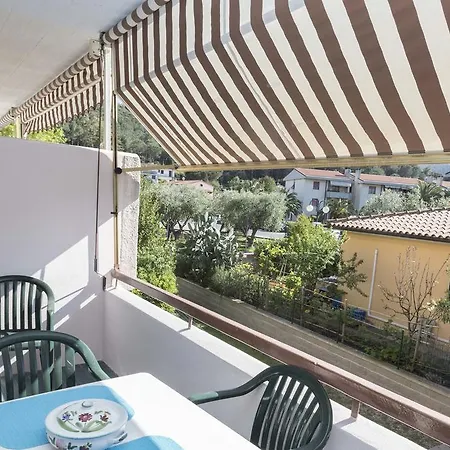 Maya A Campo - Goelba *